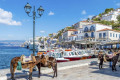 Donkeys on Hydra, an island that banned the use of vehicles