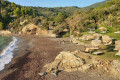 Rugged beauty in the beach of Kechria, Skiathos