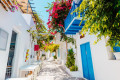 A charming alley in Naoussa, Paros