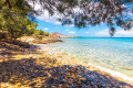 The exotic beach of Chrysi Akti in Paros