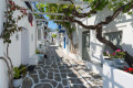 A true Cycladic spirit in Naoussa, Paros